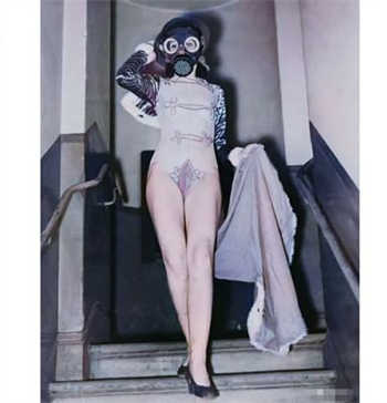 捡到一只妖崽崽