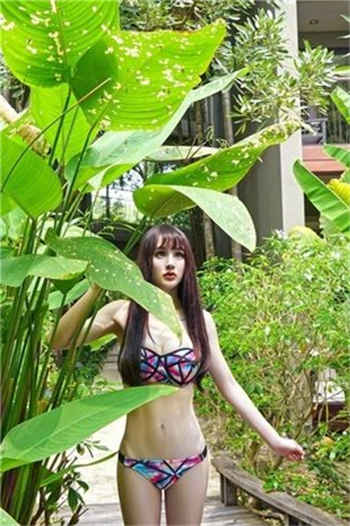 长官的地下情人