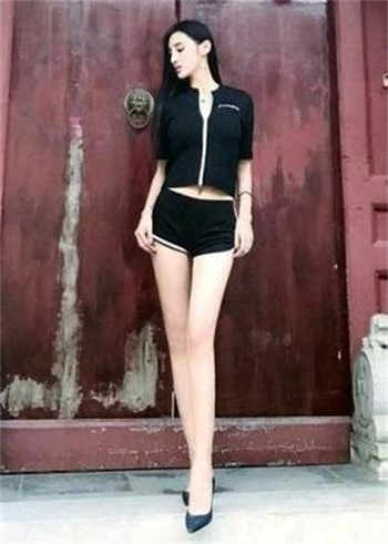 杨晨和秦惜最新更新