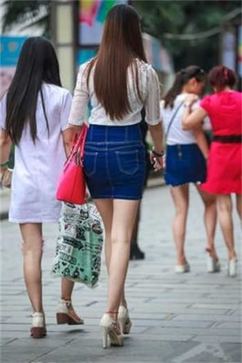 香草喵露露百叶窗