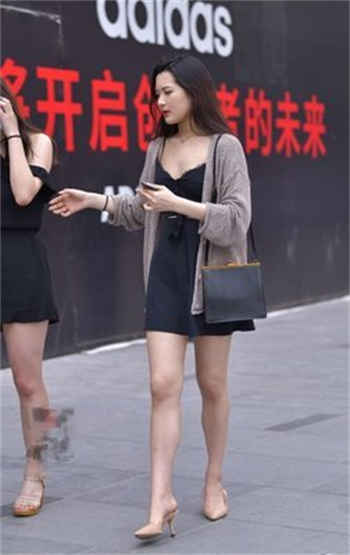 萌犬一只pr18