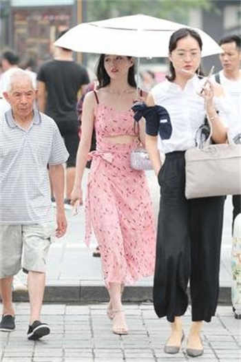 公交车小说系列全文阅读