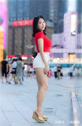 作者杀猪刀全部小说
