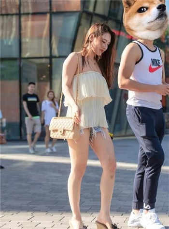 大狼狗张柔分节阅读