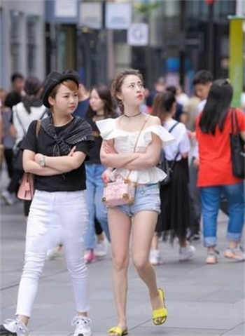 猫咪永久回家路首页