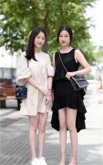 兔子暴力曲婷有什么秘密