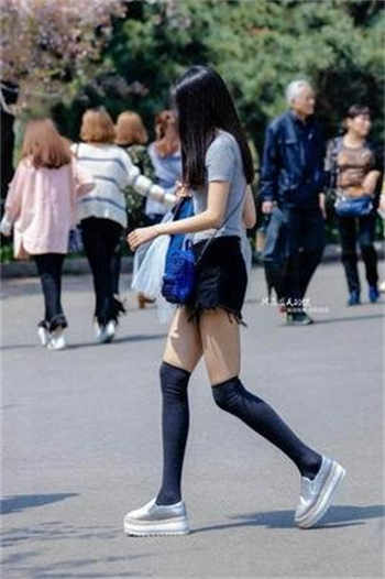 巨量小说搜历史版